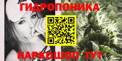 сатива Заволжье