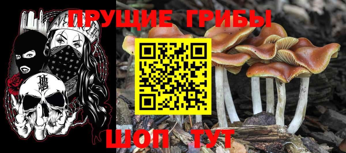 Псилоцибиновые грибы Magic Shrooms Минусинск