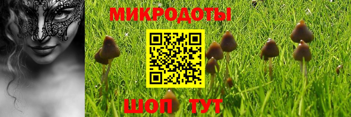 Галлюциногенные грибы Cubensis  Вход с VPN  Минусинск  где купить наркоту  Псилоцибиновые грибы Cubensis 